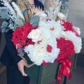 xlfloral4 - BLOSSOMY